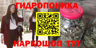 мдма Можга