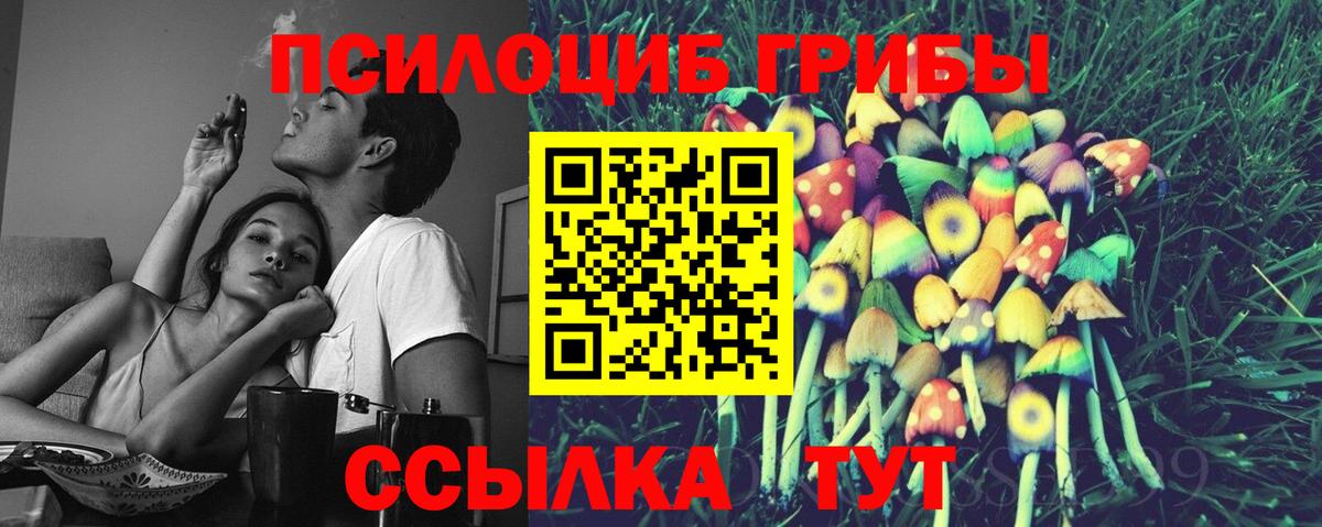 Галлюциногенные грибы мицелий Дальнереченск