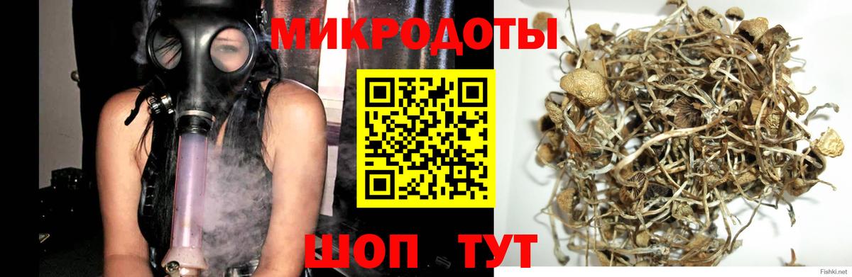 Дальнереченск  купить наркотики сайты  Галлюциногенные грибы ЛСД  Вход с VPN  Галлюциногенные грибы Cubensis 