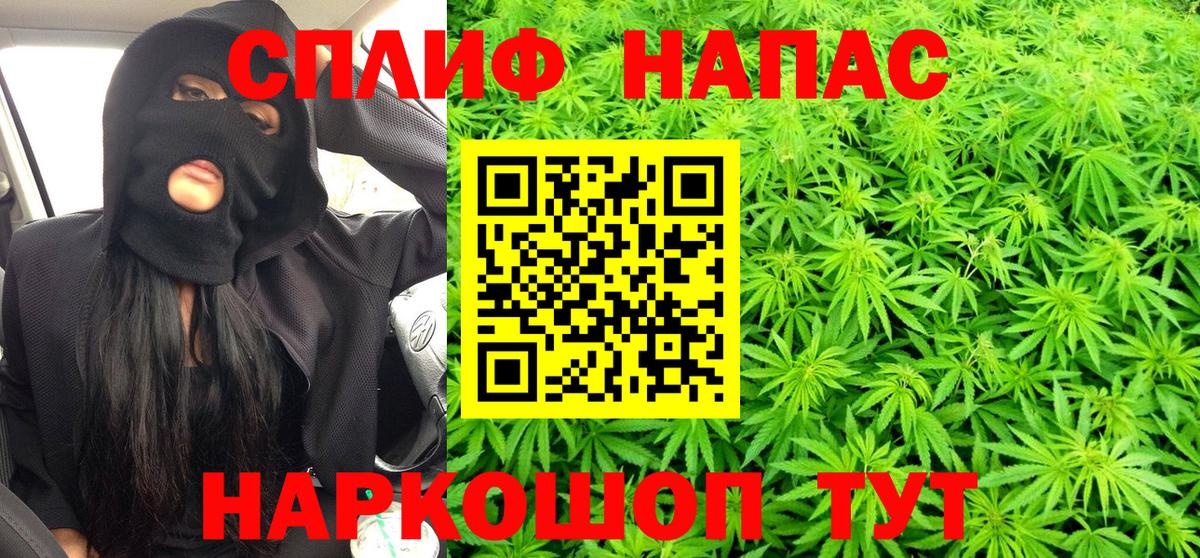 Конопля White Widow  Каннабис White Widow  Вход с VPN  Конопля MAZAR  МАРИХУАНА сатива  Дальнереченск 